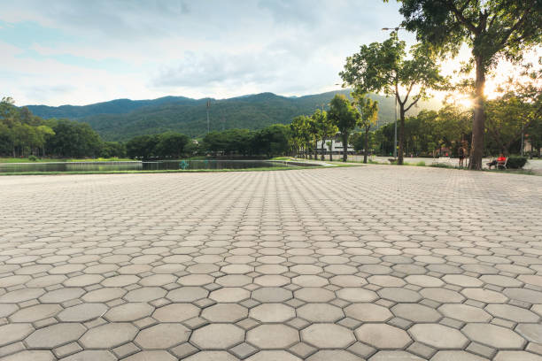 Best Best Driveway Pavers  in Shenorock, NY